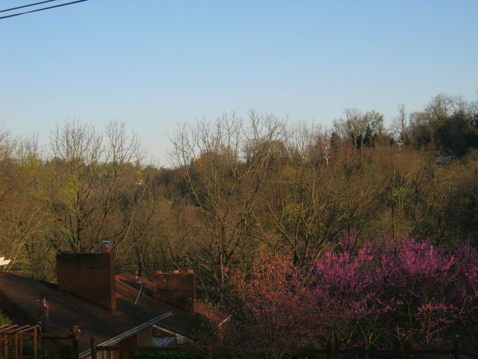 How does this view picture make you feel?