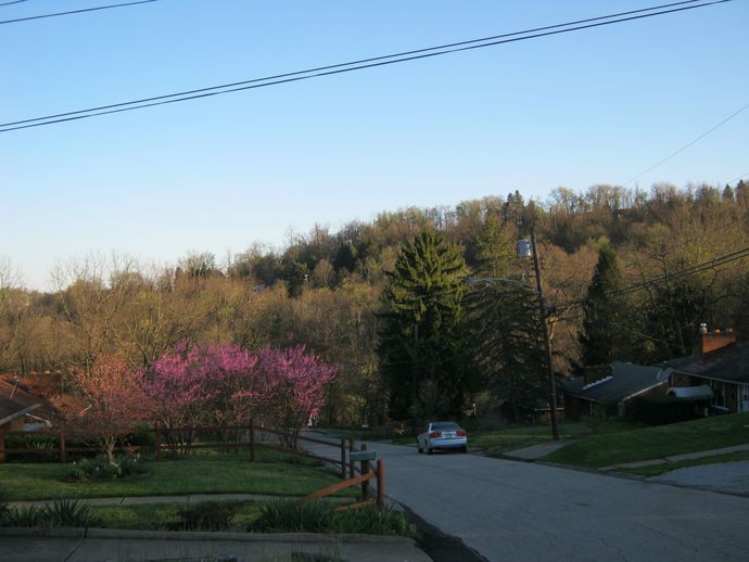 How does this view picture make you feel?