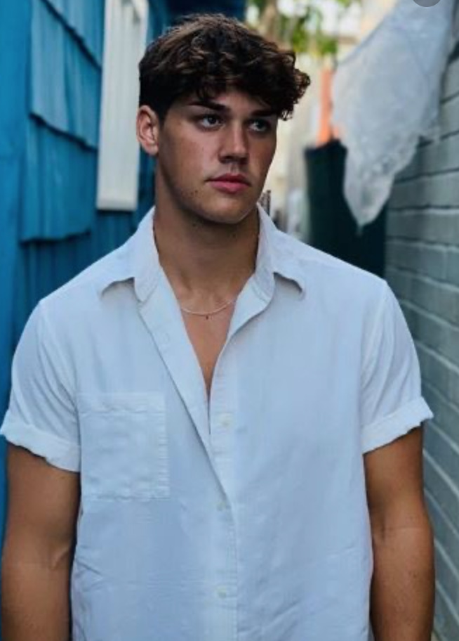 Who is a celebrity you think is pretty or handsome but lacks talent?