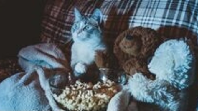 What is your guilty pleasure movie? The one that everyone hates but you love to watch over and over?