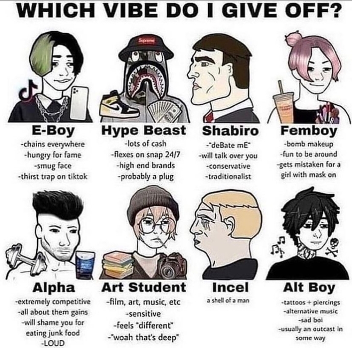 Should I post this meme on my Snapchat?