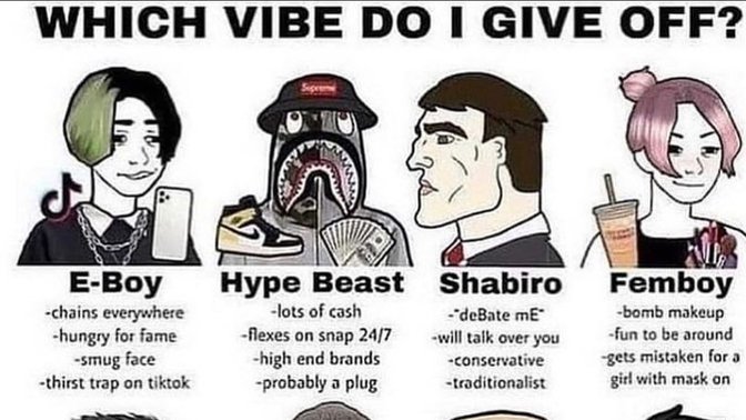 Should I post this meme on my Snapchat?