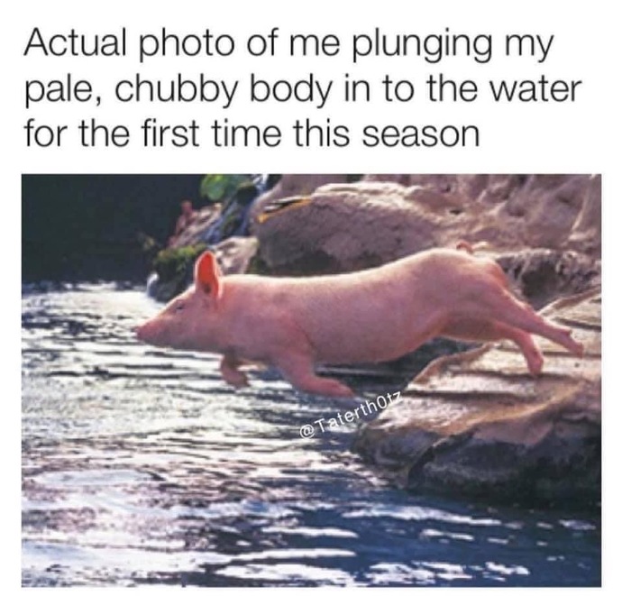 What is the last photo in your camera roll?
