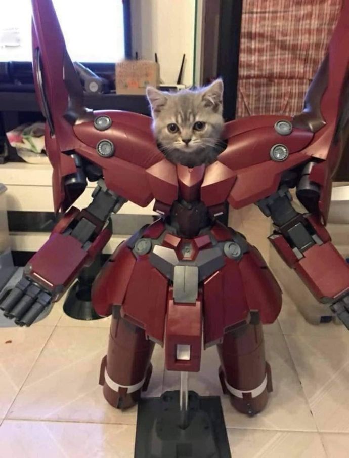 What is the last photo in your camera roll?