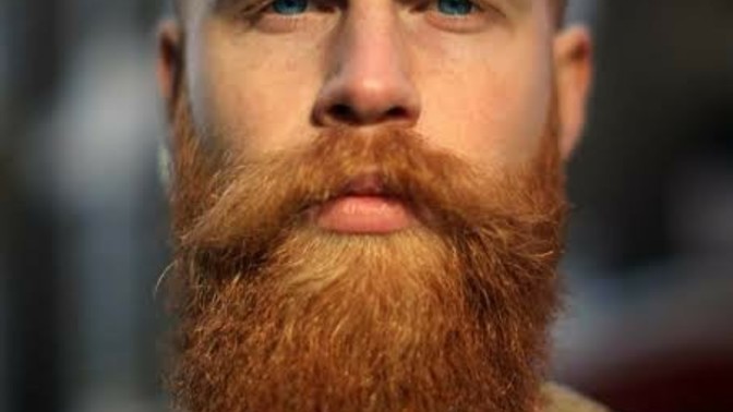Thoughts on blonde and red facial hair?