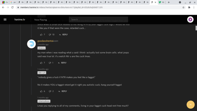 Wby are vanilla anime hentai fans so toxic?