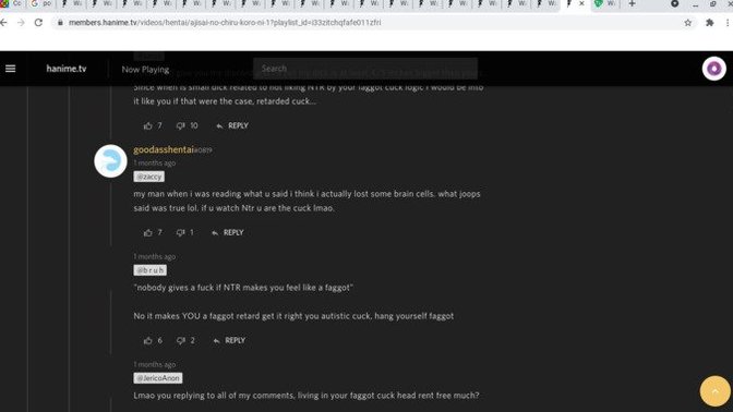 Wby are vanilla anime hentai fans so toxic?