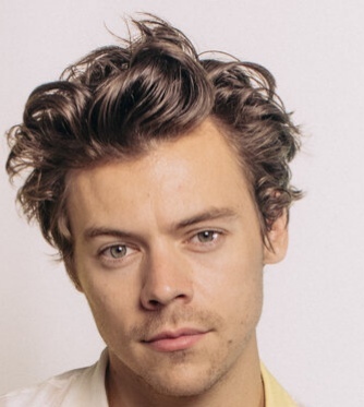 Girls, Who here finds godfrey gao more attractive than young harry styles?