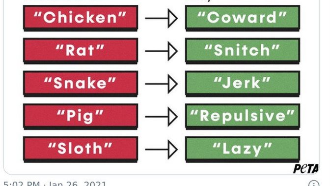 How would you describe your personality using a common animal adjective for it?
