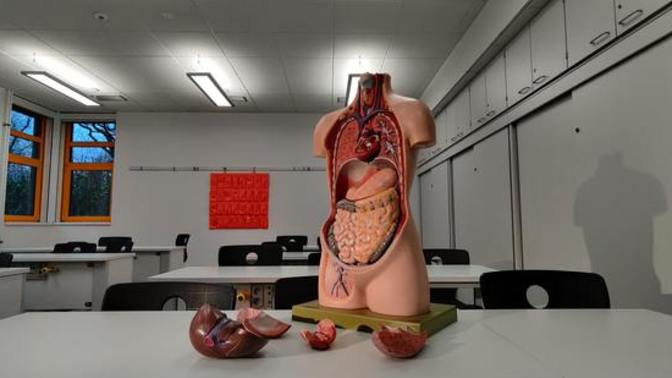 Will you donate your organs when you die?