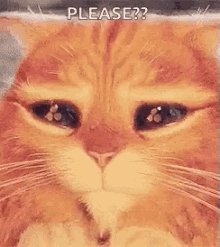 Is there someone on this site you don't normally see eye to eye with that you'd be willing to say something genuinely nice about anyway?