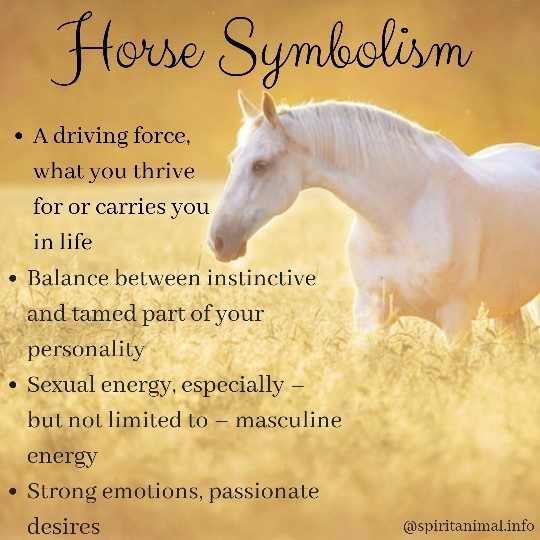 Do you consider horses or people who look like horses to be beautiful?