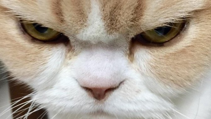 How do you react when someone that is NOT your partner has offended you but they seem to have no idea that they did?