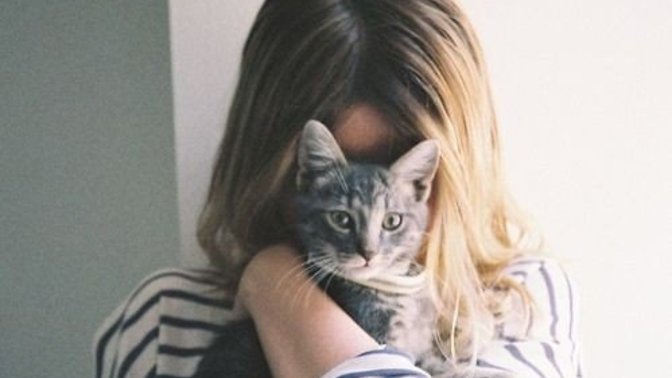 Men , do you find it more attractive when Girls have Cats ?