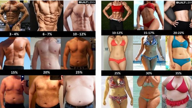 Which of these body types do you find attractive, or at least dateable?