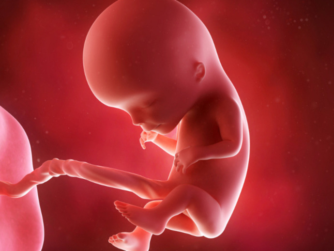 If you found out your unborn child would be born crippled, would you still go through the pregnancy?