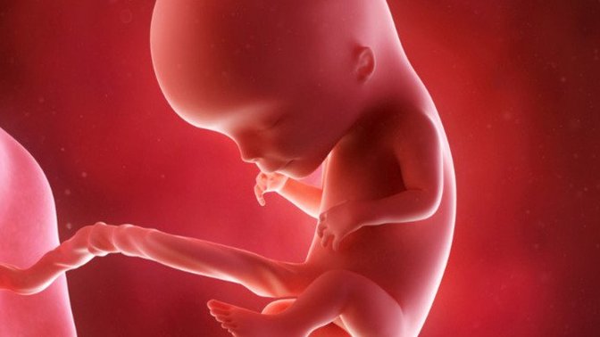 If you found out your unborn child would be born crippled, would you still go through the pregnancy?