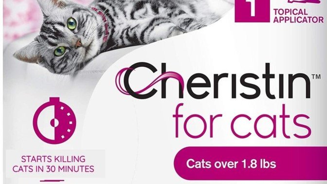 Should we make assisted suicide ointment for cats?