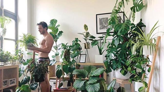 Does surrounding yourself with plants make you more relaxed?
