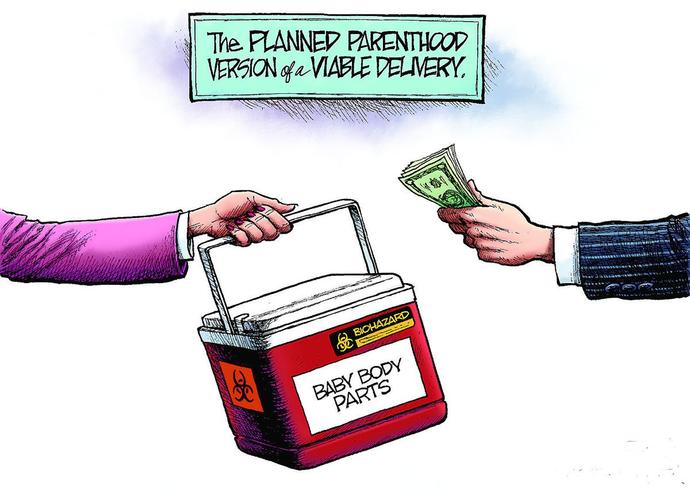 Pretty cool when you can make money of dead baby parts. Im sure women dont care because the baby is dead and out.