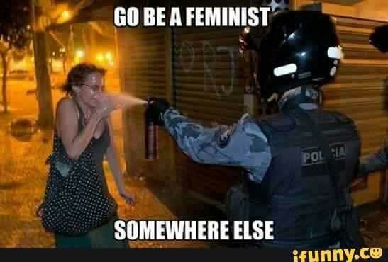 If a guy said he doesnt support feminist movement, do you assume he hates women?