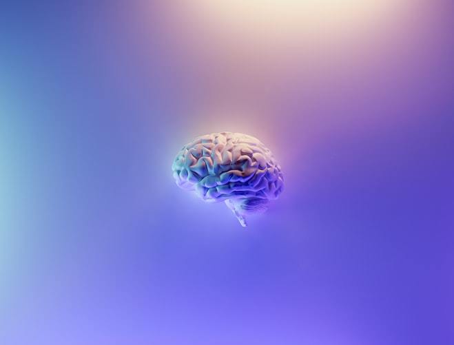 What do you think your IQ is?