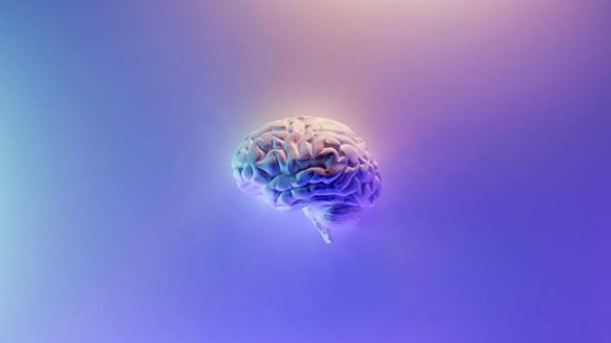 What do you think your IQ is?