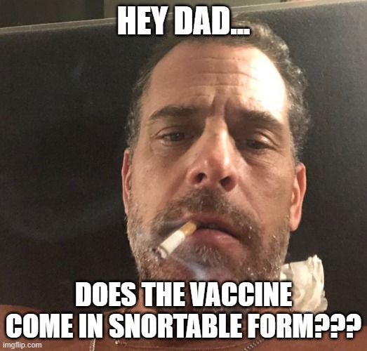 Emails show Hunter Biden called his own lawyer the N-word multiple times. Is he a racist like Joe Biden his father? Is the Biden Family KKK leaders?