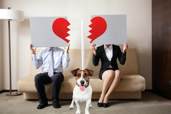 If a couple has a pet together and they end up breaking up, who should get to keep the pet?