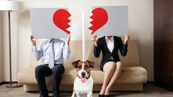 If a couple has a pet together and they end up breaking up, who should get to keep the pet?