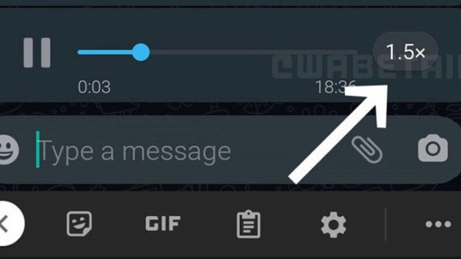 Do you prefer voice mail or texting?