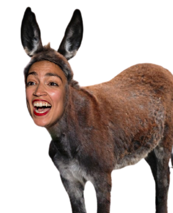 Are Republicans The Dumbest People Ever?