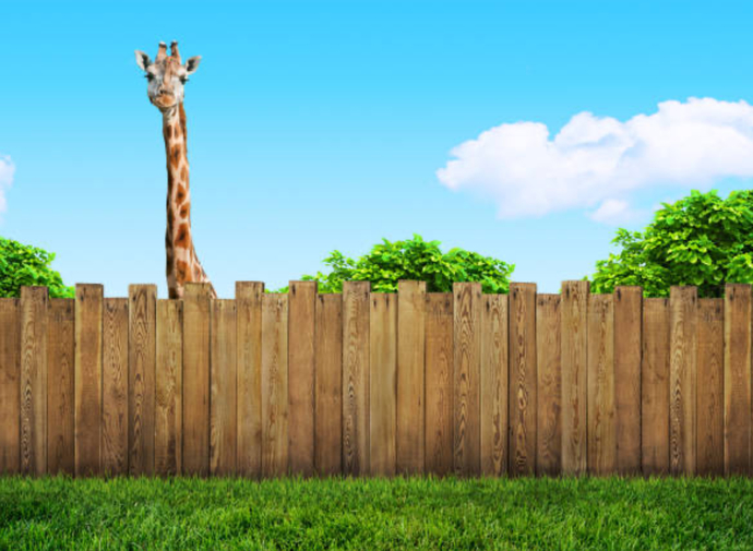 Would You Rather Your Neighbors Be Killer Clowns, Zombies, Werewolves Or One Of The Following?
