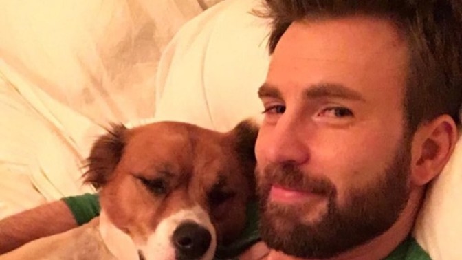 Will you be celebrating Chris Evans's 40th birthday?