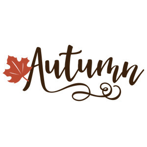 What is your favorite season?