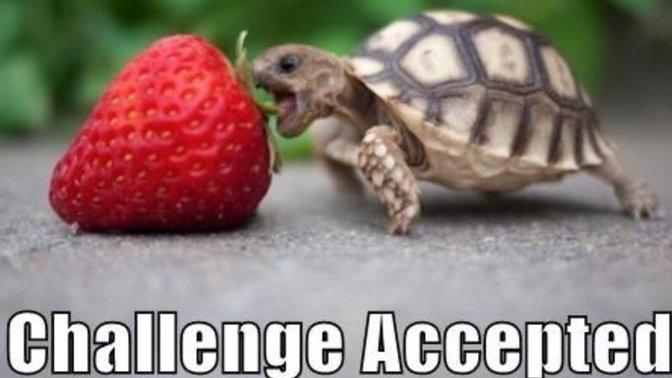 Can You Make A Complete Sentence Using G@G User Names & If So Are You Up For The Challenge?