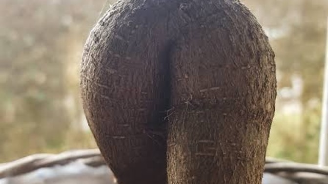 Why butt atracts you?