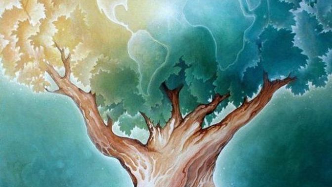 Did you find your life purpose, and if so, what is it?