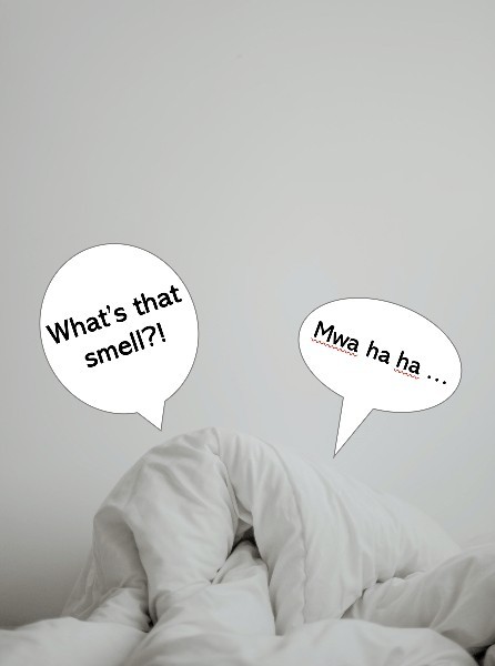 Girls, what is one thing most guys do that annoys you?