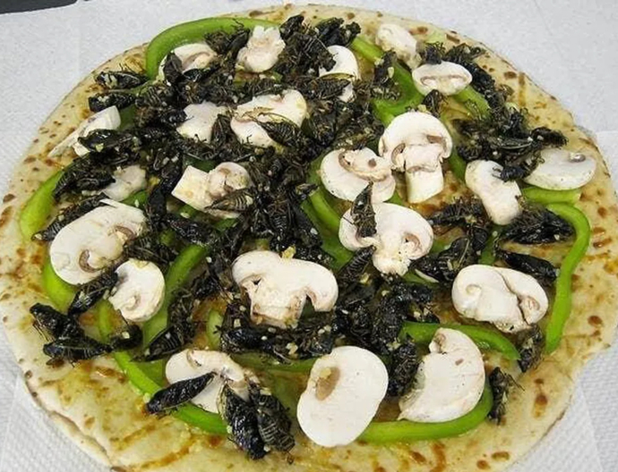 For All The Pizza Lovers Out There Would You Eat A Pizza With Cicada Bugs On It?