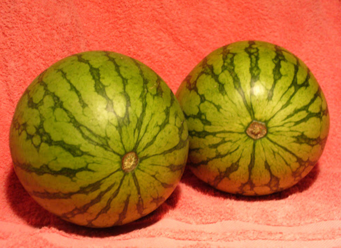 Does Anyone Miss The ARE MY BOOBS BIG Questions & Speaking Of Melons What Do You Think Of These?