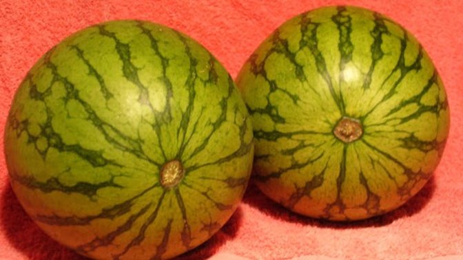 Does Anyone Miss The ARE MY BOOBS BIG Questions & Speaking Of Melons What Do You Think Of These?