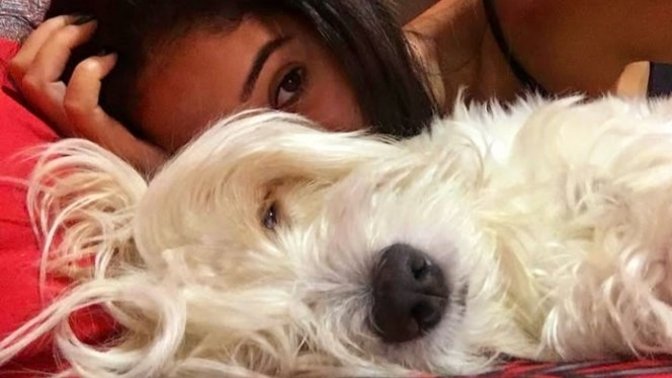 Do dogs get lonely being the only dog?