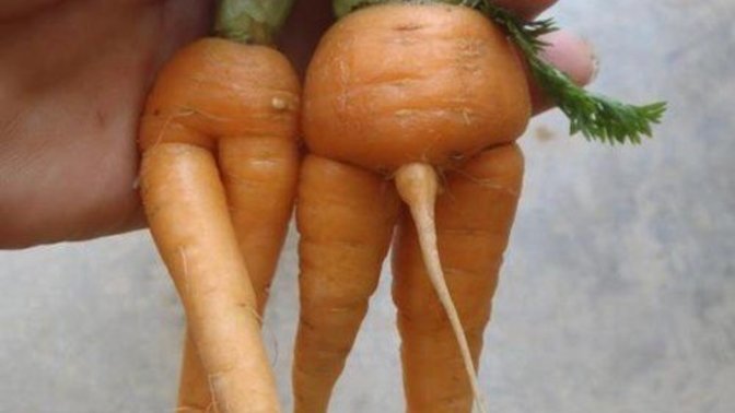 What are good ways to test your date's strengths and weaknesses? You know scare em a little bit?