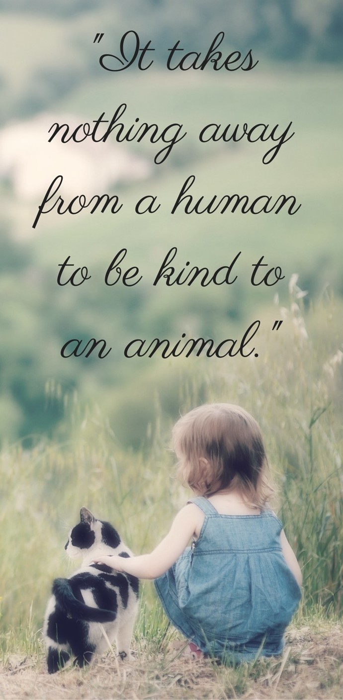 Does anyone else have amazing animal stories to share?