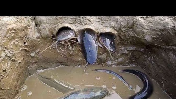 How do I catch unique fish fishing?