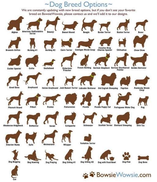 Whats your favorite dog breed?