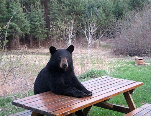 Game: Caption these funny pictures?