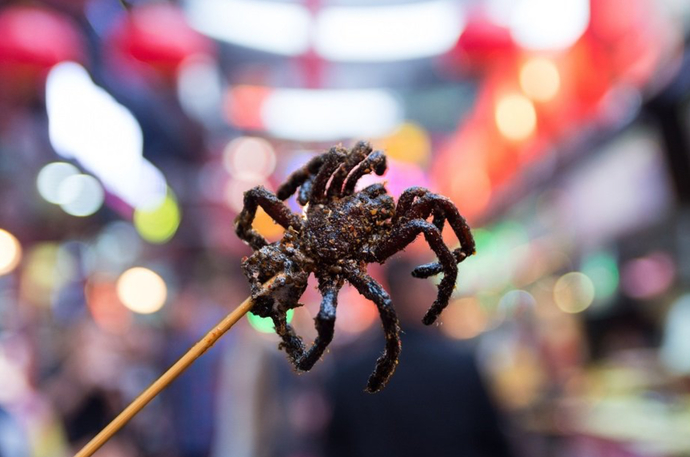 Would You Rather Eat Roasted Rats, Cow Testicles Or One Or All Of The Following?