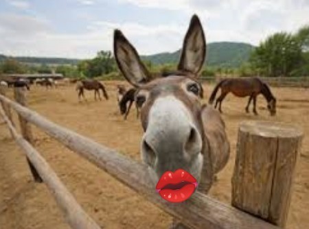 If your partner broke up with you for someone else and decided they made a mistake and wanted you back would you go back?